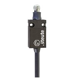 Ex Position switch ExM 14 WR 1m IP65 (1CO) II 2G Ex d IIC T6